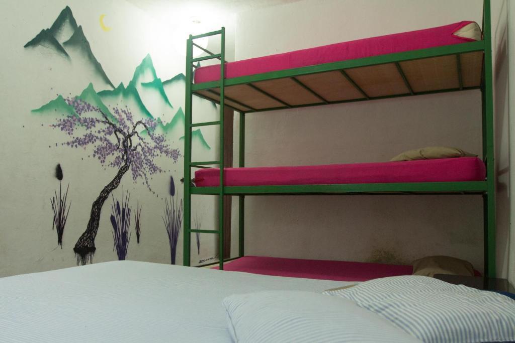 El Misti Hostel Ilha Grande Экстерьер фото